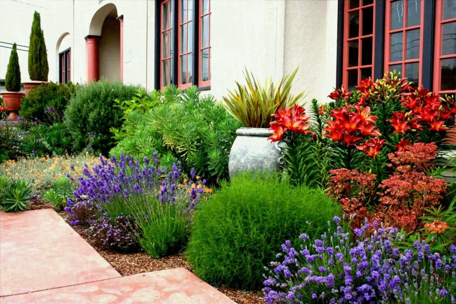 Портулак и эшшольция