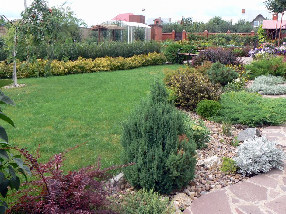 Миксбордер с можжевельником Стрикта