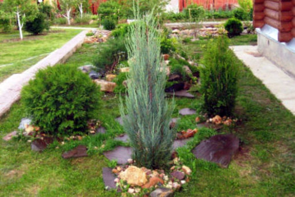 Блю Эрроу Альпийская горка