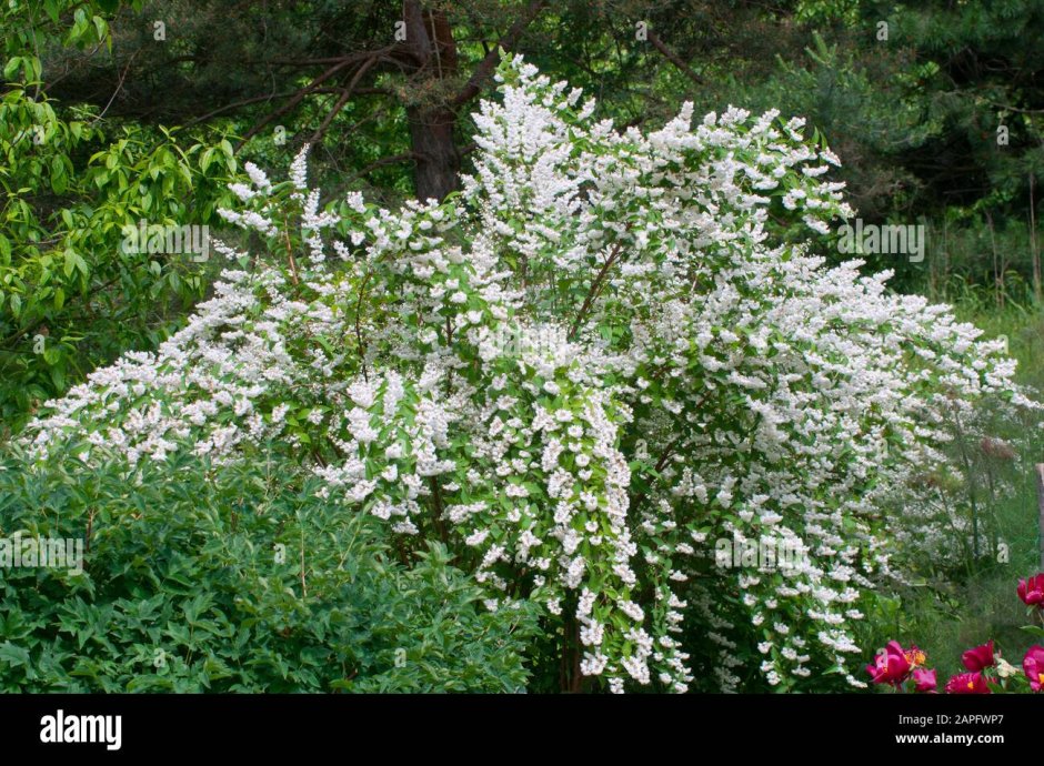 Пуф SLEEPART дейция