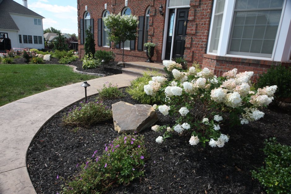 Клумба с гортензией и спиреей