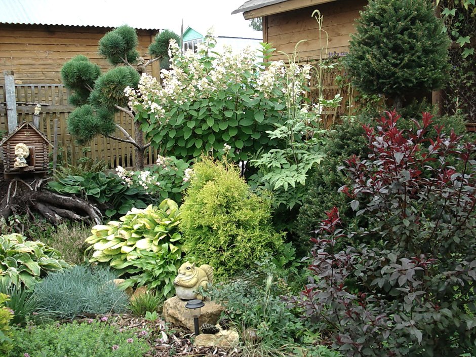 Сад с гортензиями и хвойниками в Лесном стиле
