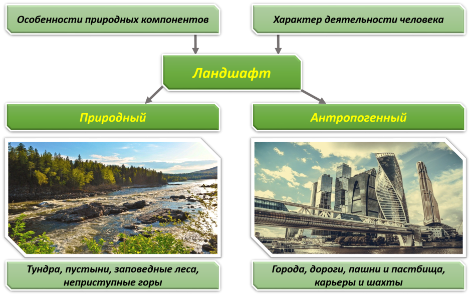 Типы антропогенных ландшафтов
