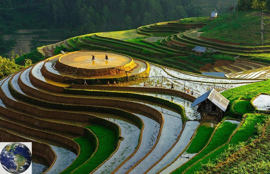 Рисовые террасы Вьетнам