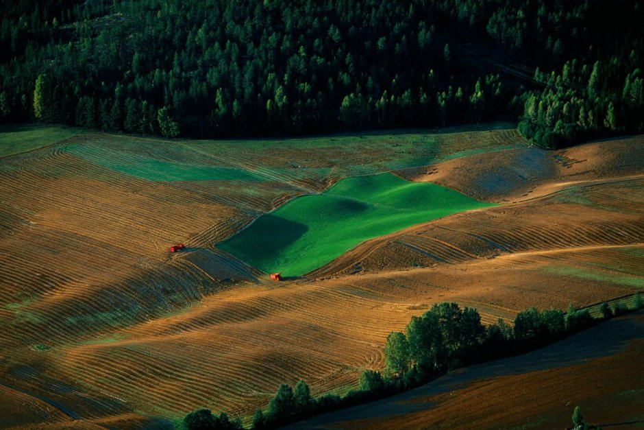 Природно-антропогенные ландшафты