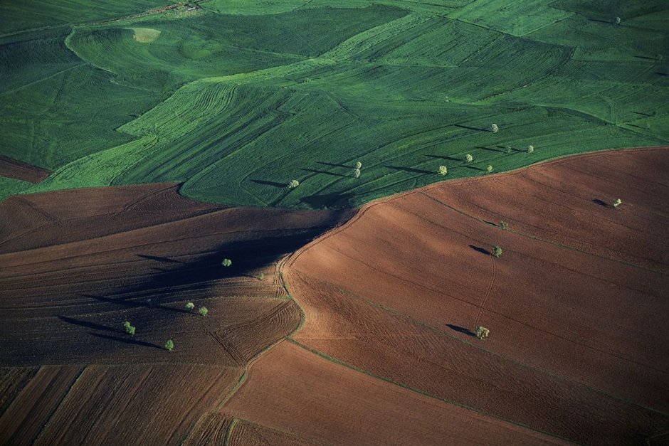 Ян Артюс-Бертран