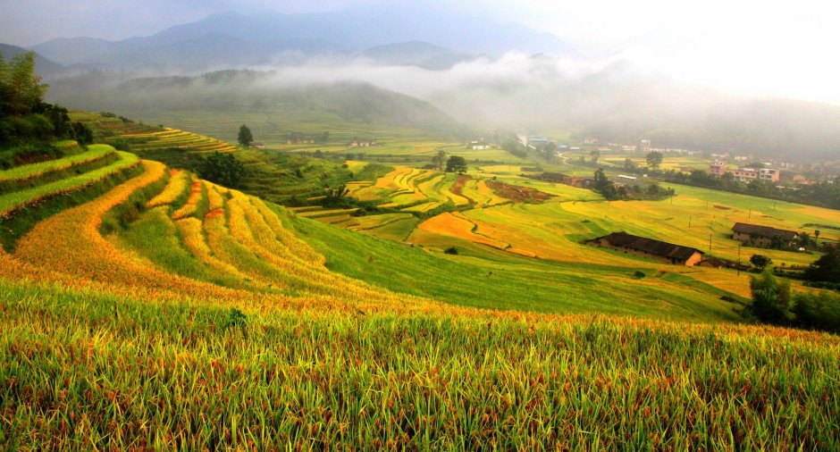 Природно-антропогенные ландшафты