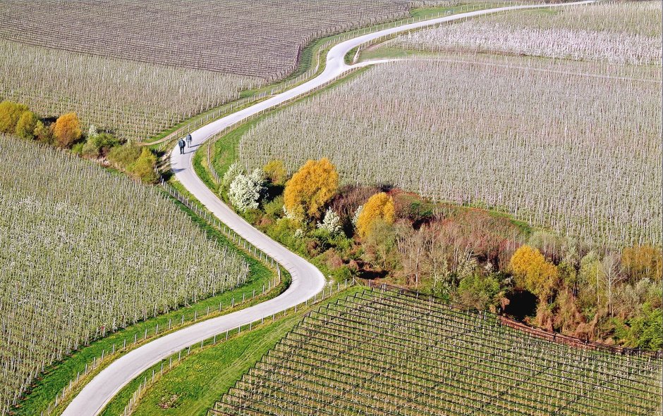 Ландшафт с высоты