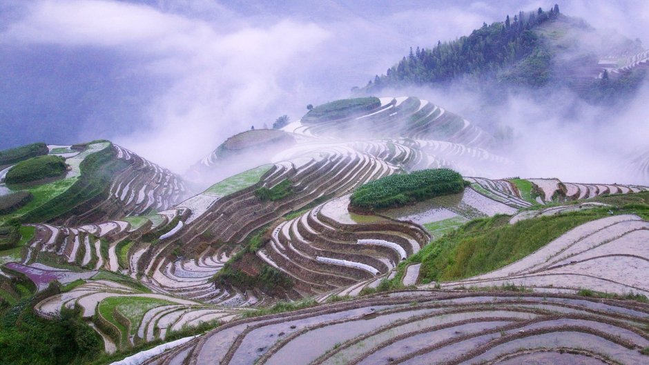 Рисовые террасы Китай