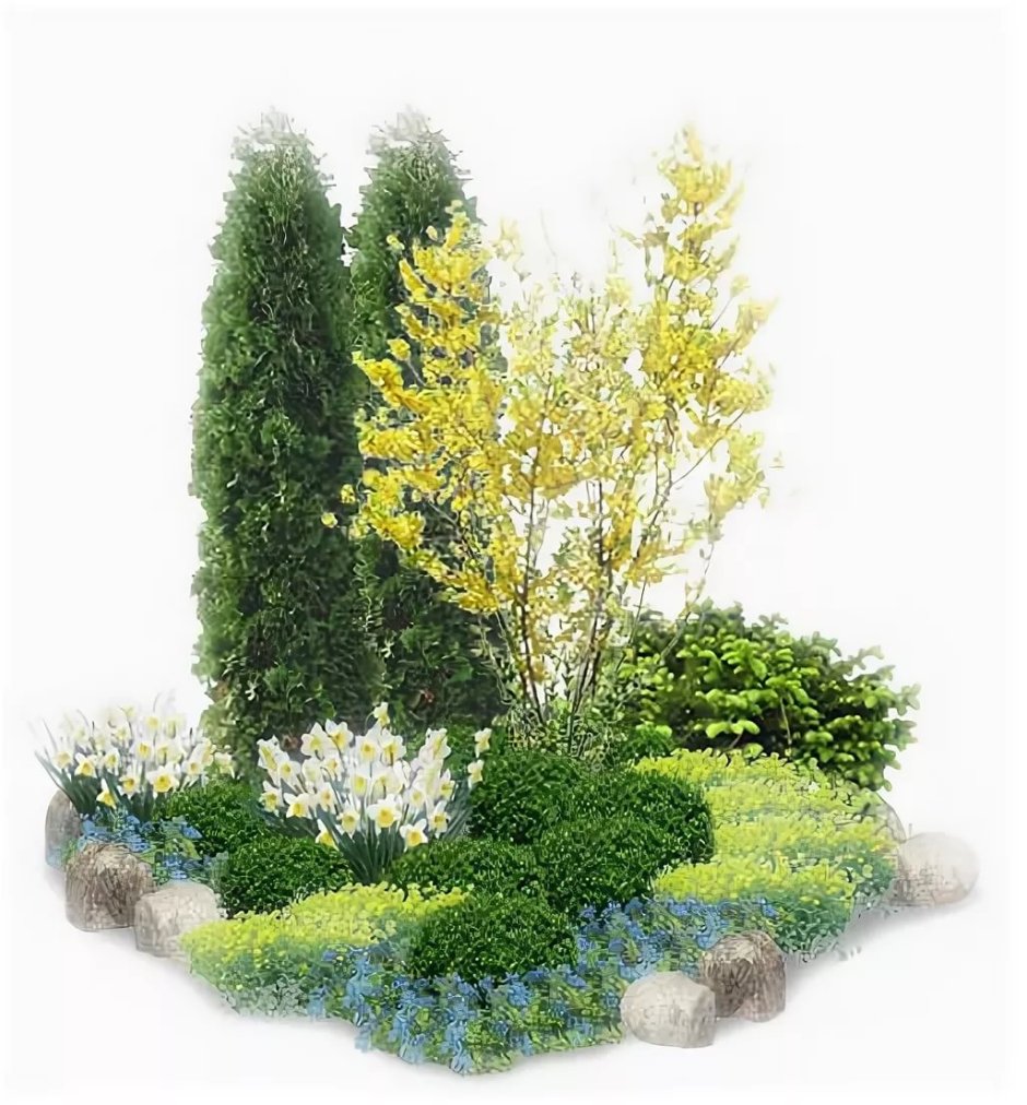 Пузыреплодник в миксбордере