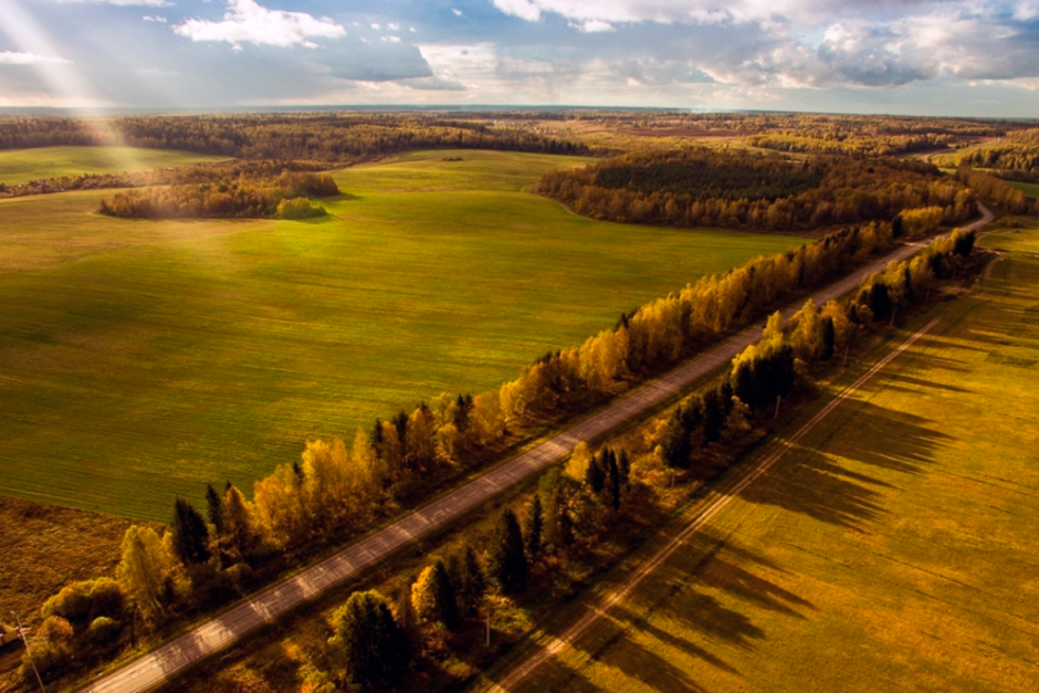 Антропогенный ландшафт