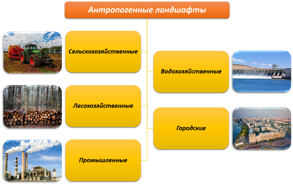 Антропогенный ландшафт
