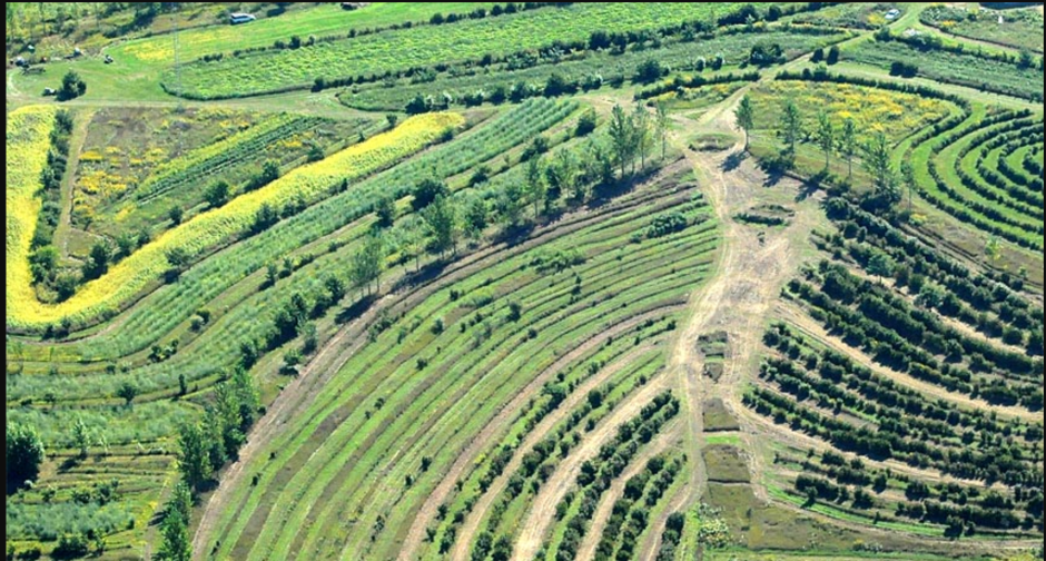 Великобритания пахотные земли