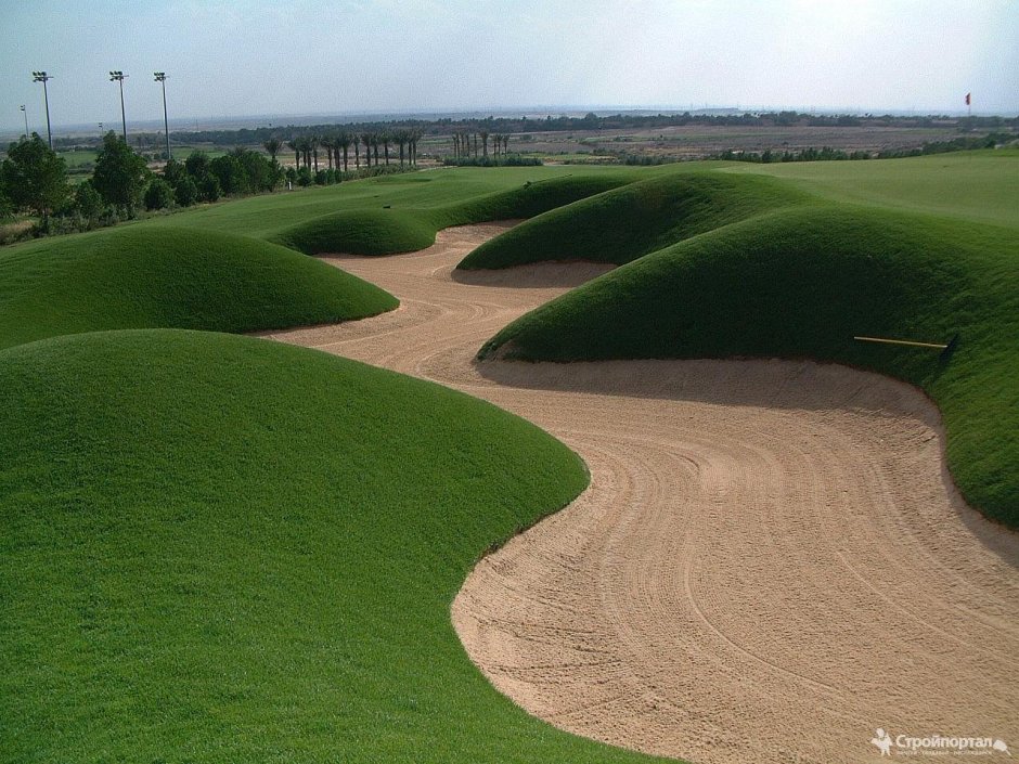 Обезлесение в России