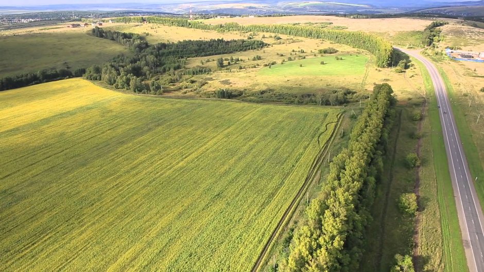 Лесополоса Генко