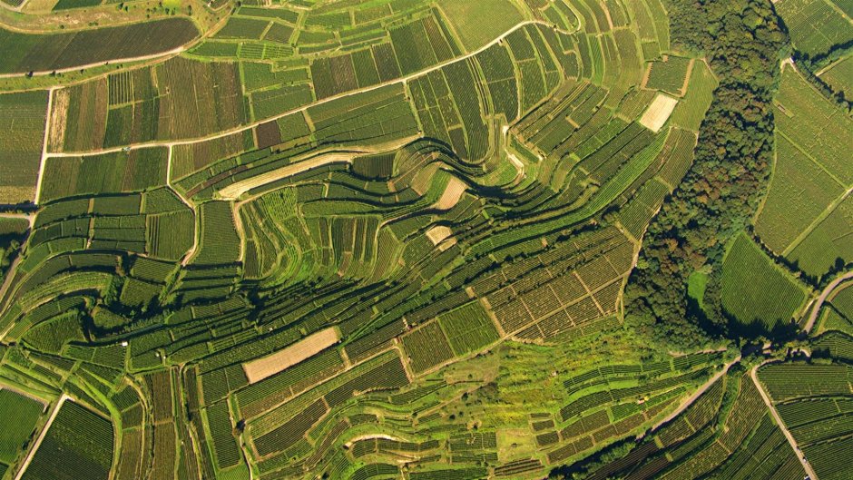 Региональный ландшафт