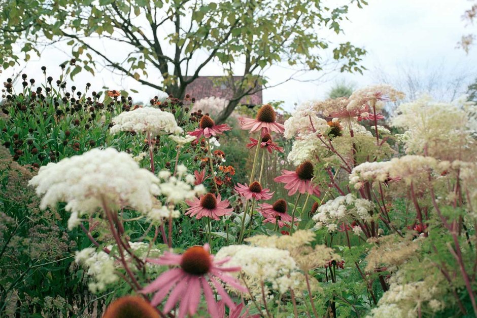 Сад новой волны пита Удольфа