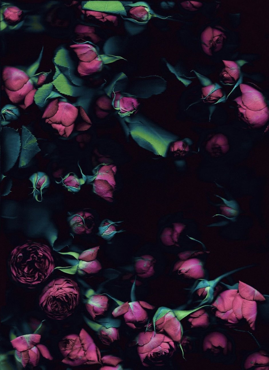 Золото на черном фоне