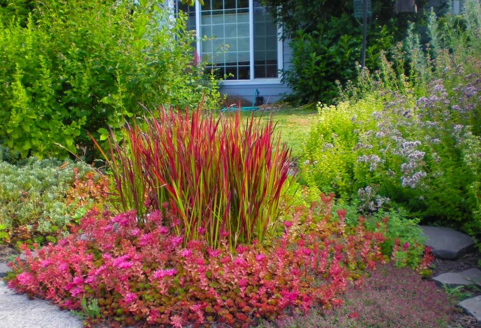 Императа ред Барон