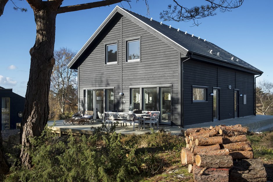 Состаренная лиственница фасад