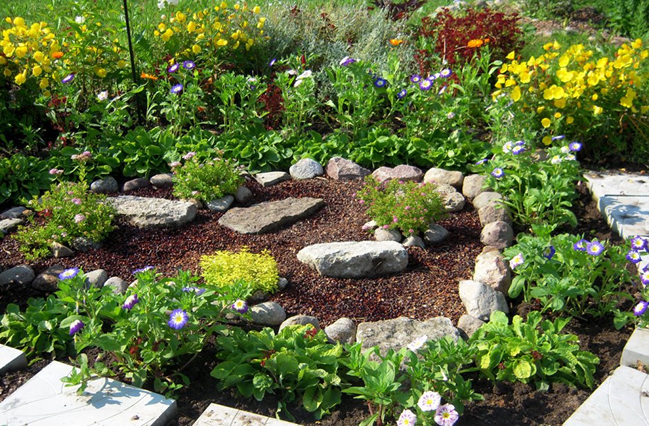 Клумбы, рокарии, миксбордеры