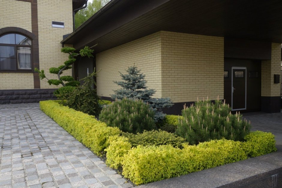 Розарий с хвойниками