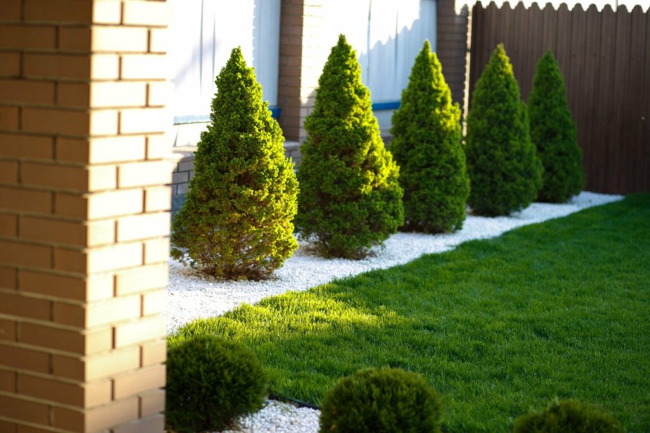 Еловый уголок на даче