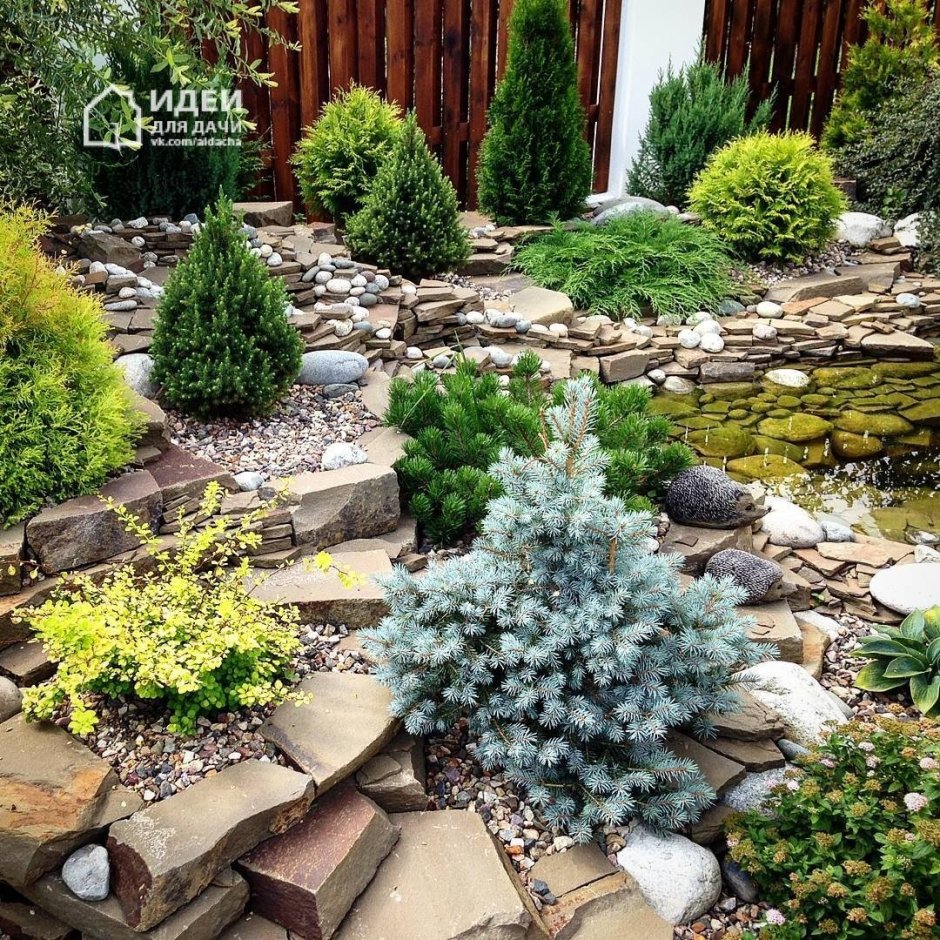 Миксбордер с туей Смарагд