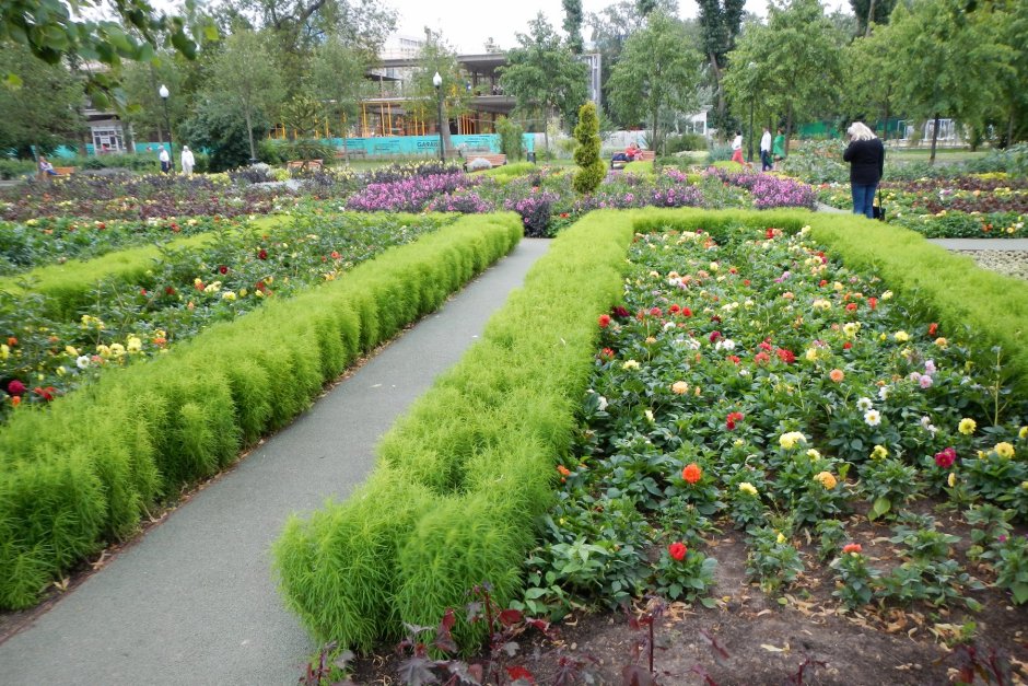 Парк Горького цветники