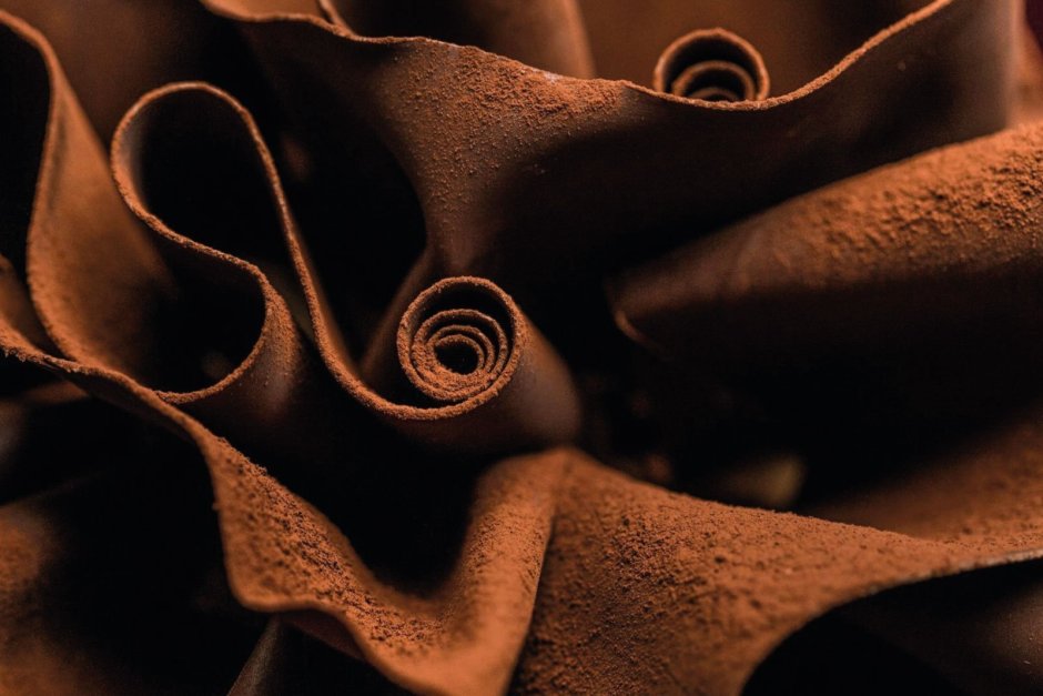 Коричневые цветы