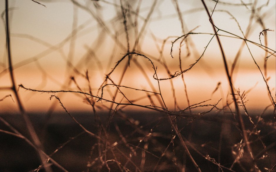 Эстетика коричневого