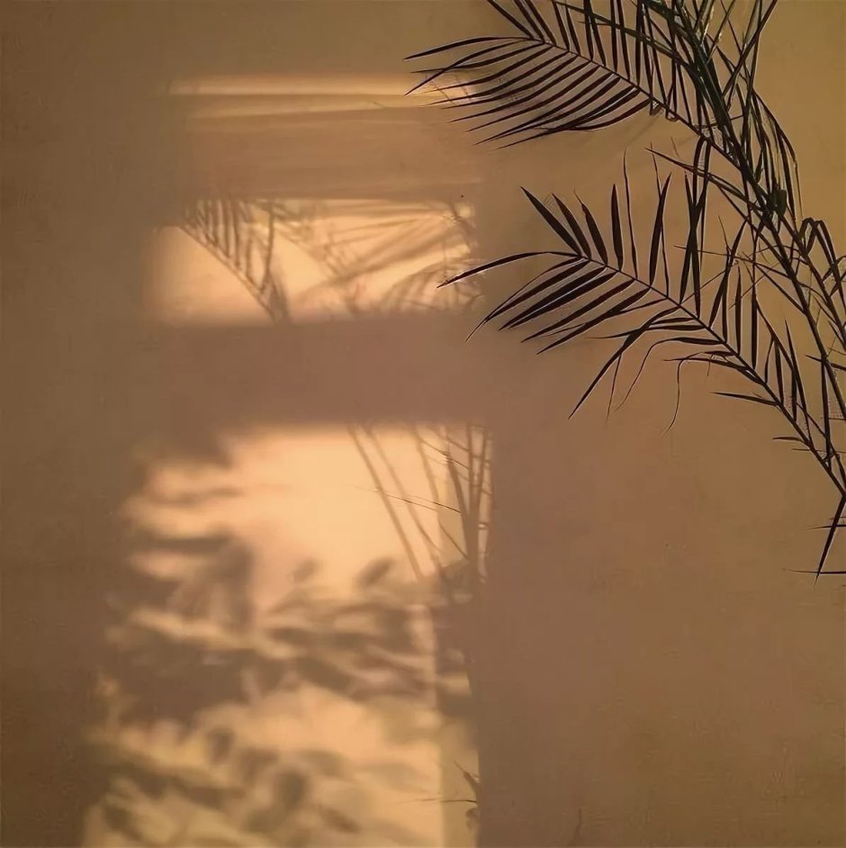 Эстетика в бежевых тонах