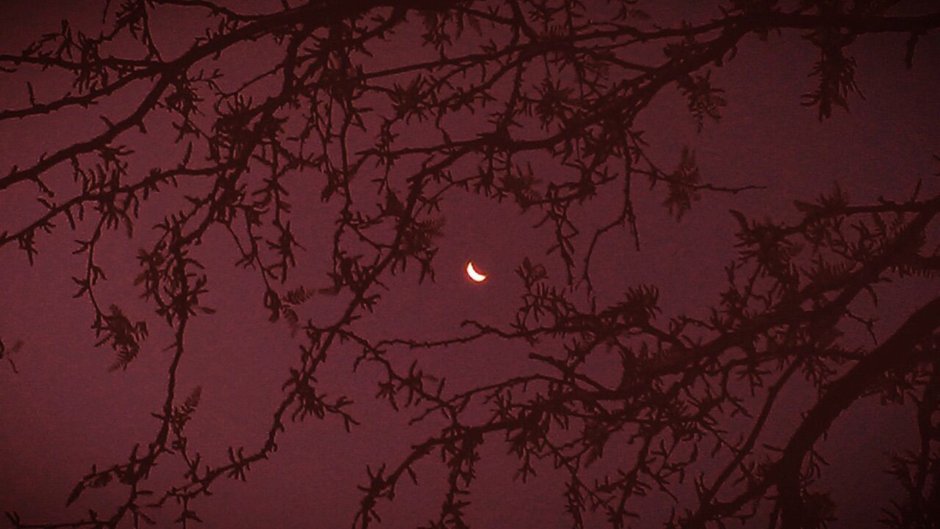 Эстетика бордового