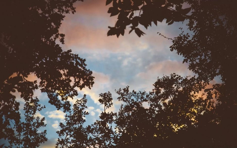 Фон Эстетика