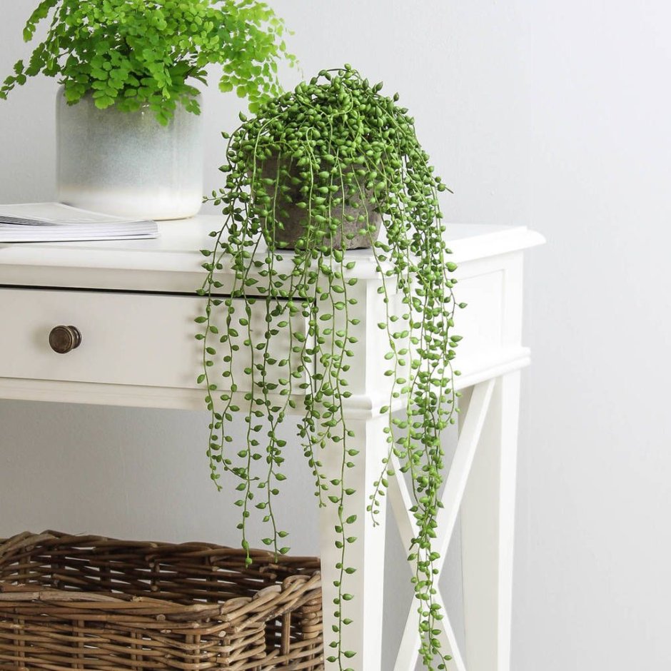 Ваза для крестовника Роули