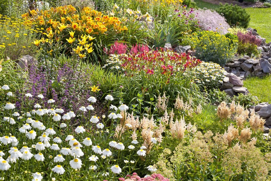 Иберис вечнозеленый в ландшафтном дизайне