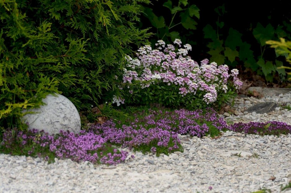 Groundcover White 330*100