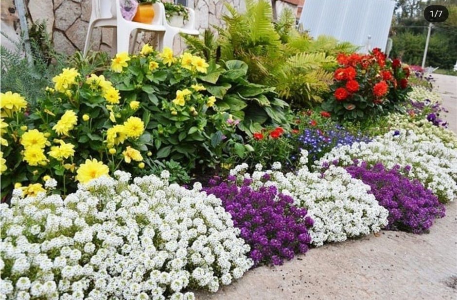 Миксбордеры в ландшафтном дизайне схемы