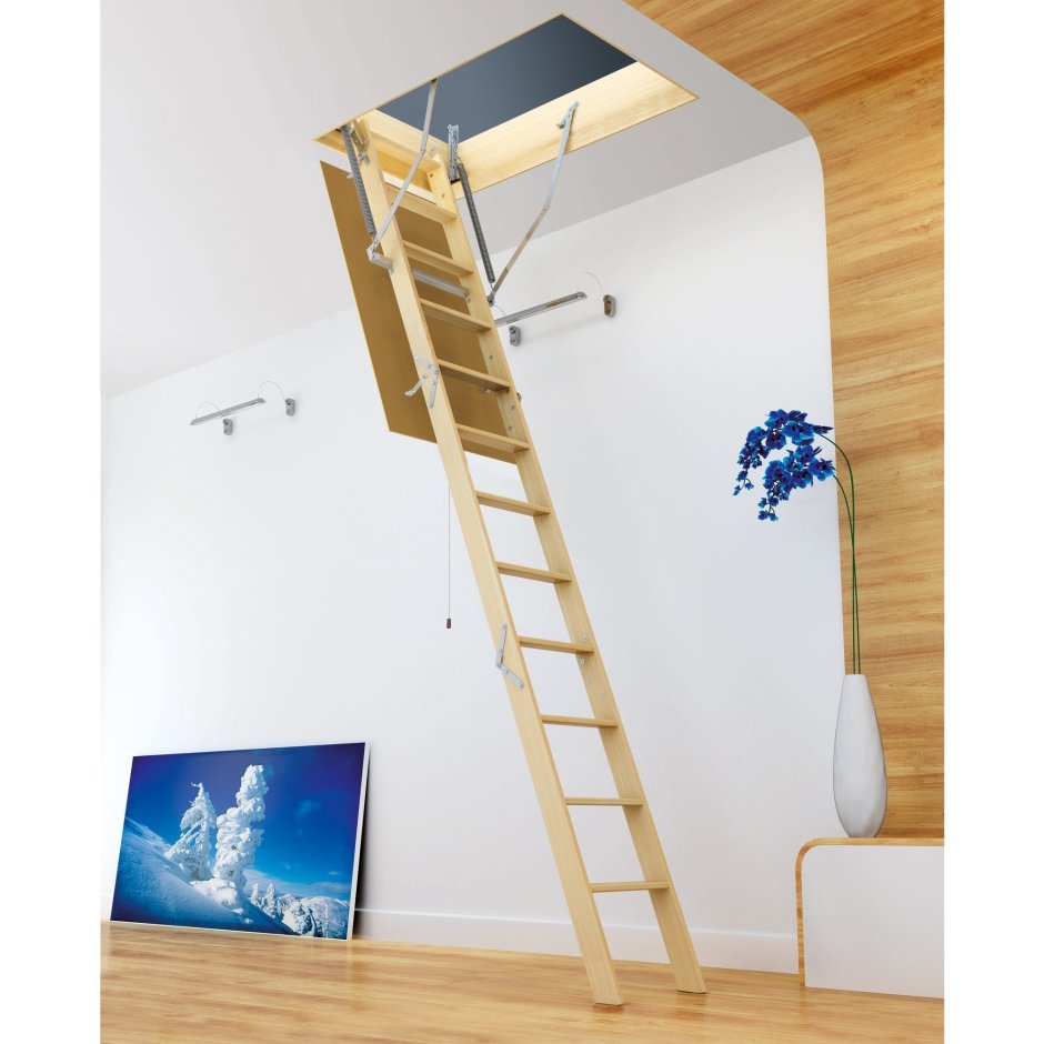 Чердачные лестницы Fakro