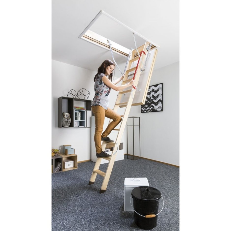 Лестница чердачная и Reflex Delta