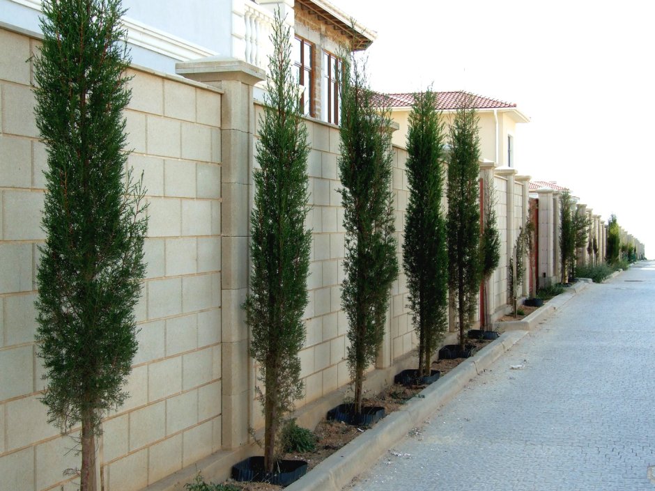 Забор француз Симферополь