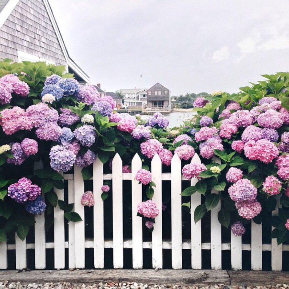 Ворота усадьбы Англия