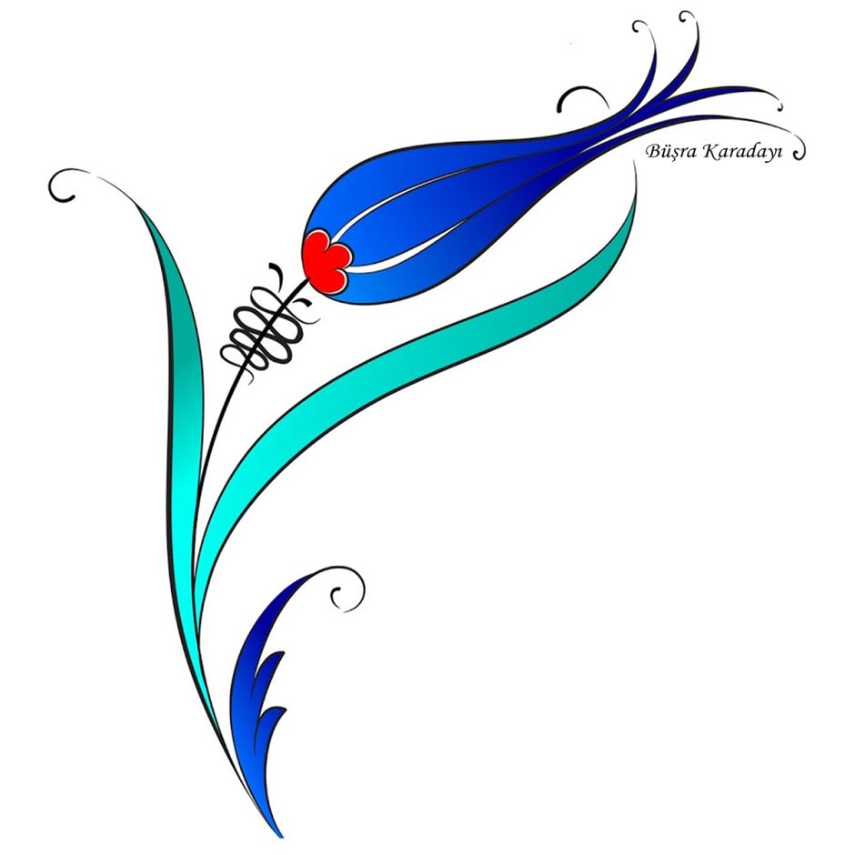 Турецкий тюльпан рисунок