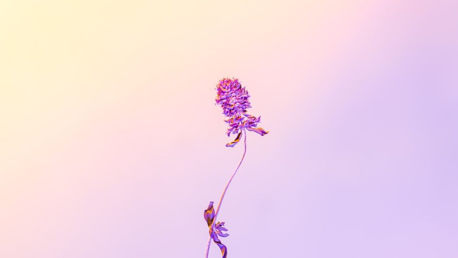 Картинки Минимализм