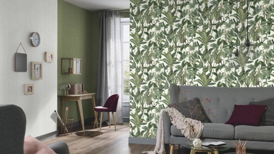 Папоротник монстера акравель