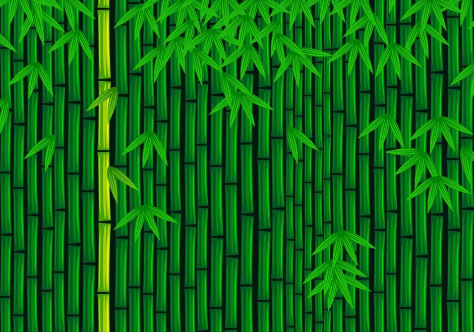 Бамбуковый узор