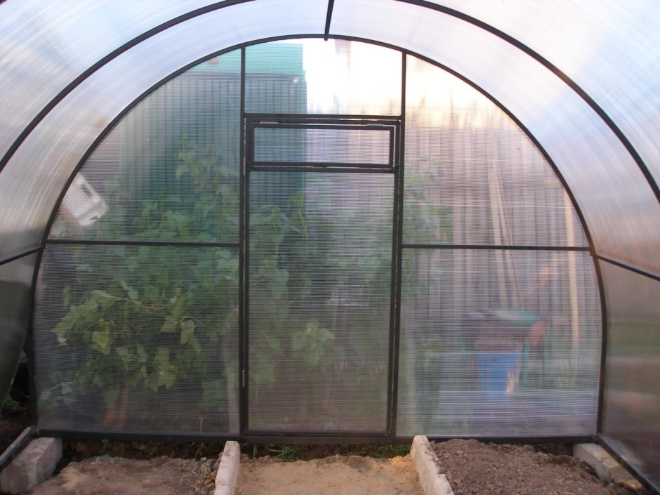Дверь в теплицу из поликарбоната