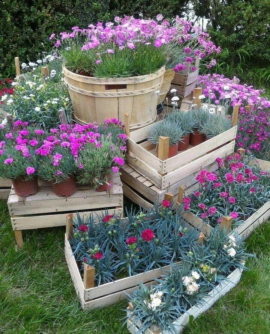 Клумба из ящиков из под фруктов