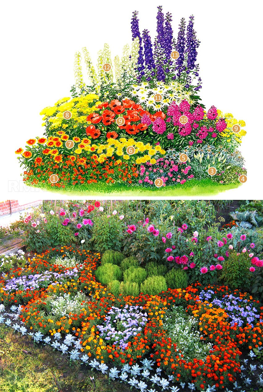 Малоуходная клумба с многолетниками