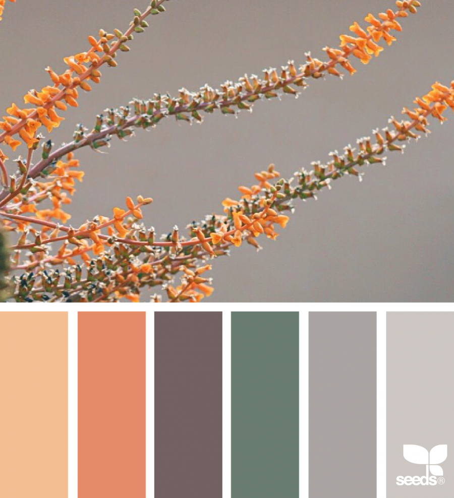 Кирпичный цвет